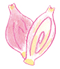 ミョウガ